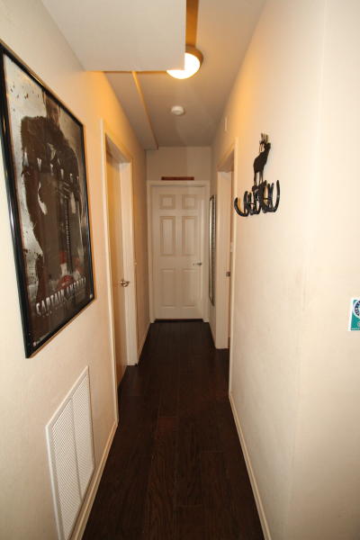 Lower level fireplace